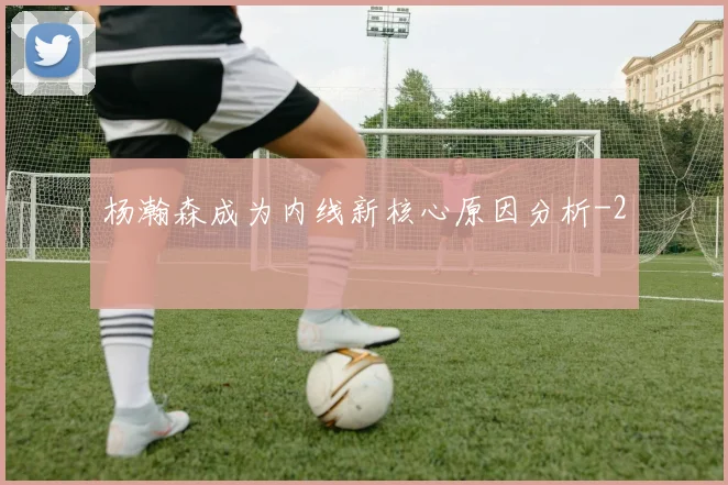 杨瀚森成为内线新核心原因分析