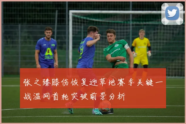 张之臻膝伤恢复迎草地赛季关键一战温网首轮突破前景分析