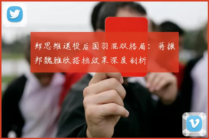 郑思维退役后国羽混双格局：蒋振邦魏雅欣搭档效果深度剖析