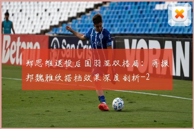 郑思维退役后国羽混双格局：蒋振邦魏雅欣搭档效果深度剖析