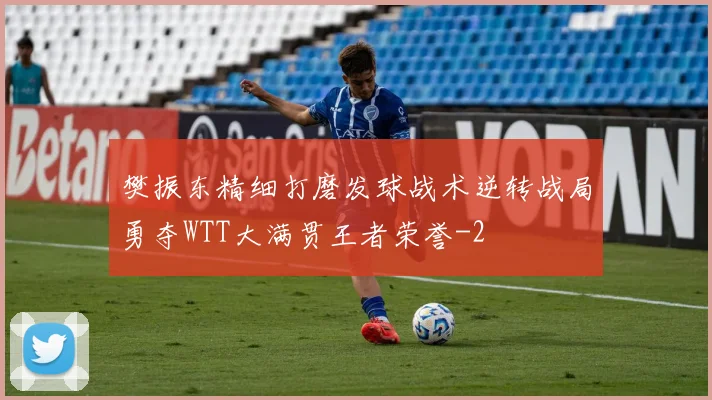 樊振东精细打磨发球战术逆转战局勇夺WTT大满贯王者荣誉